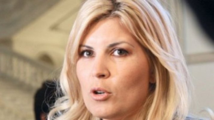 Udrea: Ar fi o soluţie bună ca Traian Băsescu să se întoarcă la şefia PDL